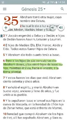 Concordancia bíblica android App screenshot 9
